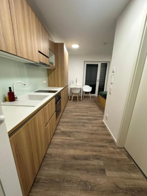 Modernes Apartment im Zentrum